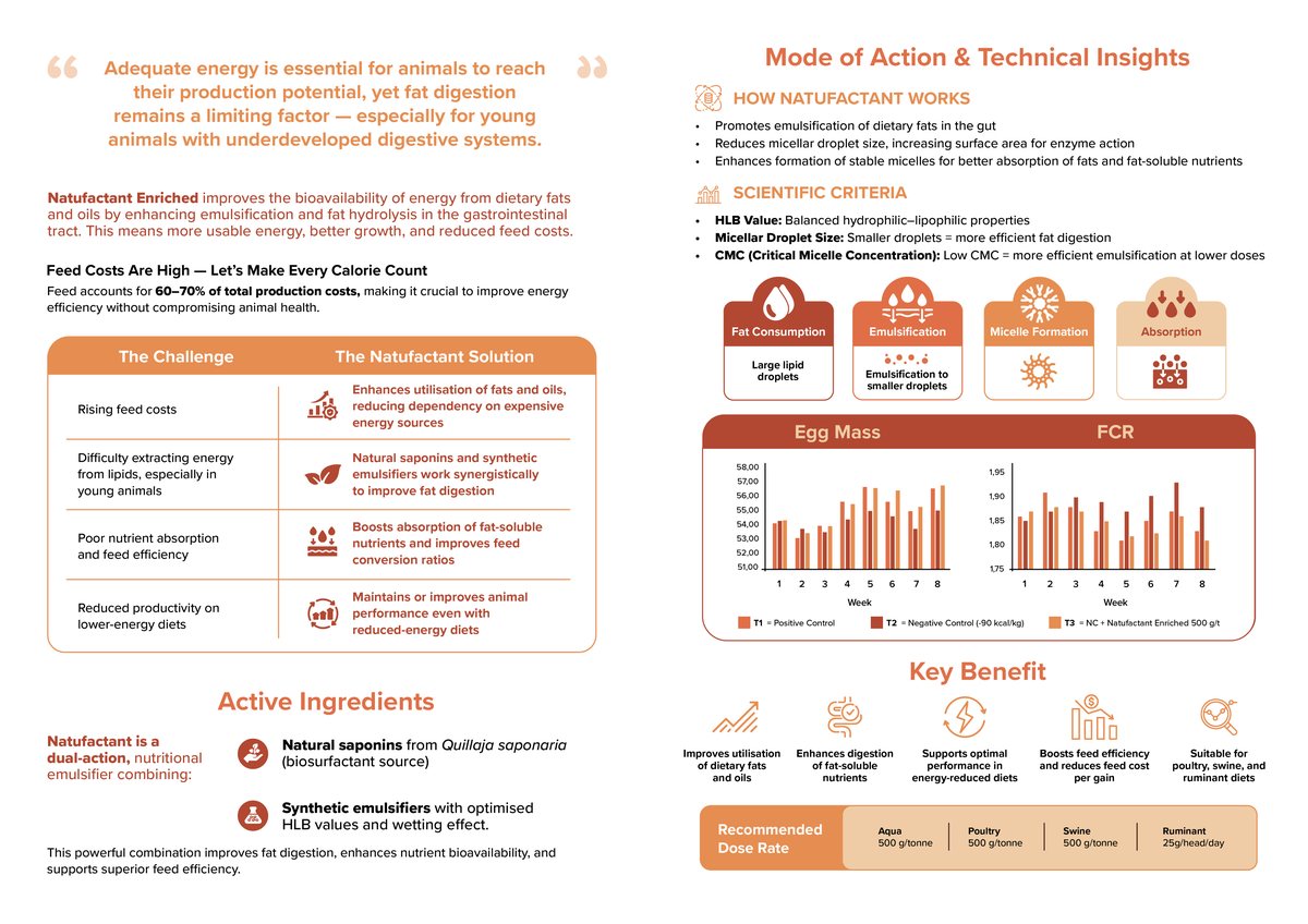 Mode of Action